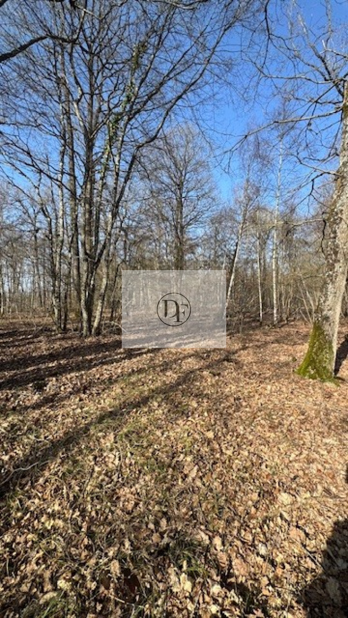 Offres de vente Terrain de loisir Nibelle (45340)